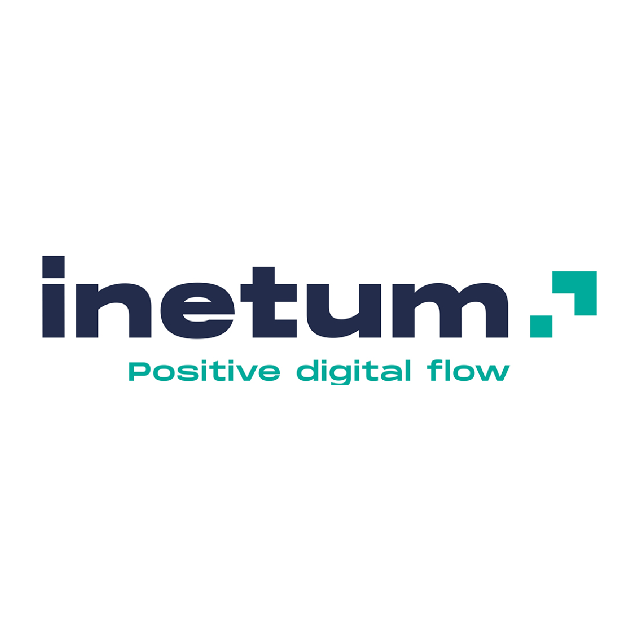 logo inetum
