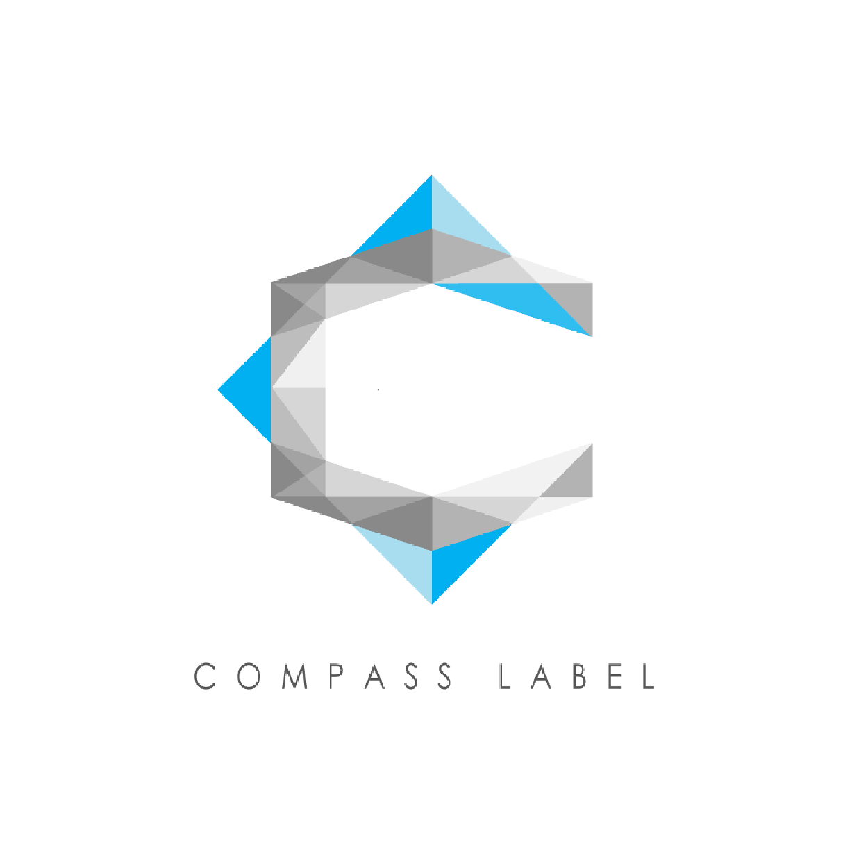 logo compass